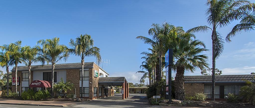 Citrus Valley Motel Renmark Εξωτερικό φωτογραφία