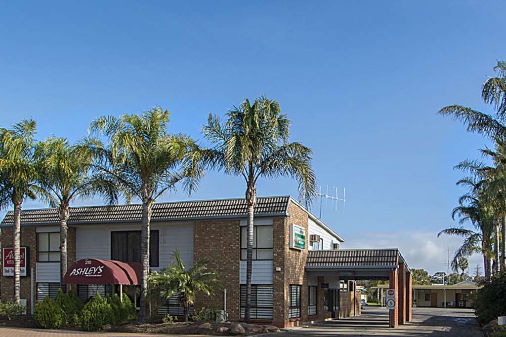 Citrus Valley Motel Renmark Εξωτερικό φωτογραφία