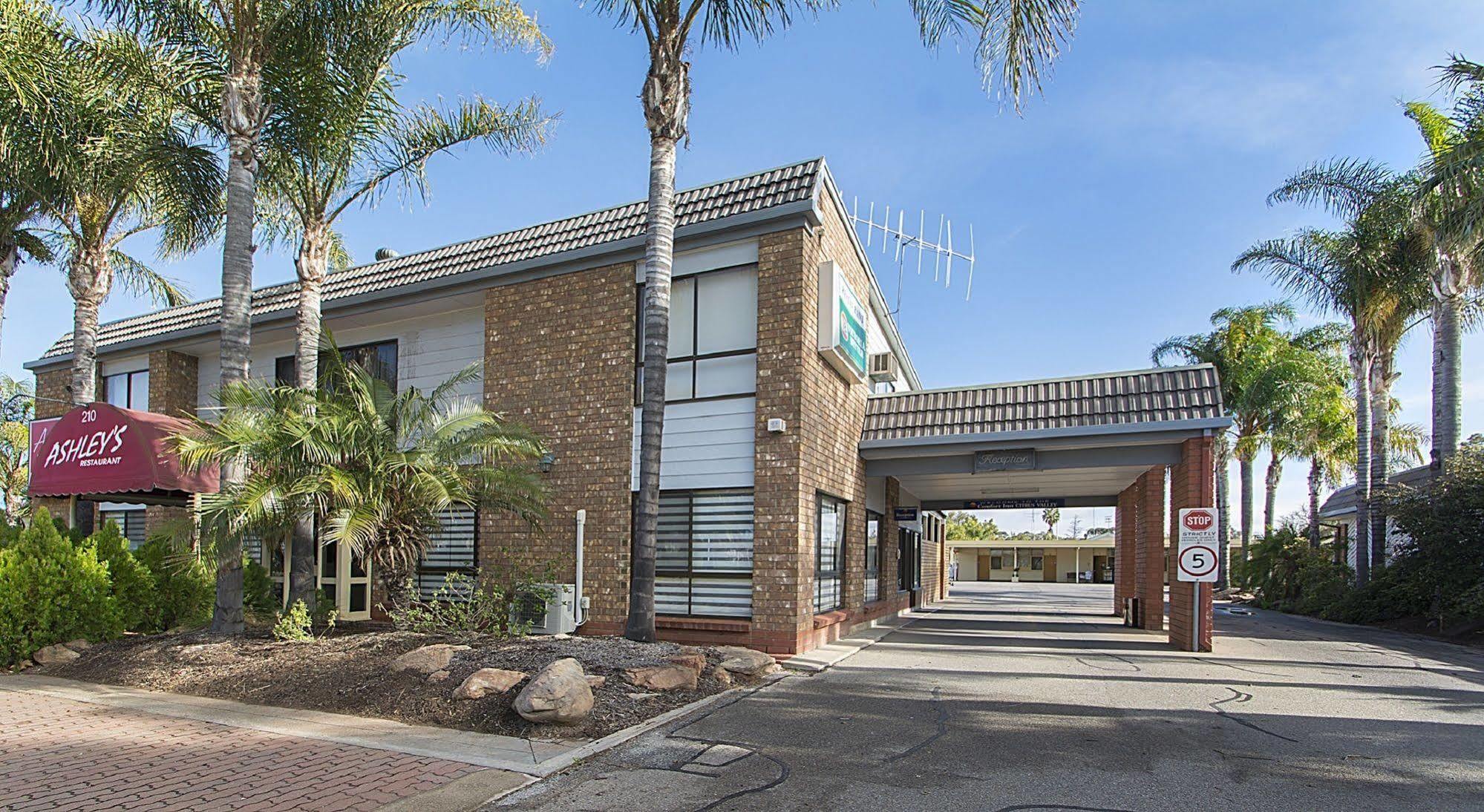 Citrus Valley Motel Renmark Εξωτερικό φωτογραφία