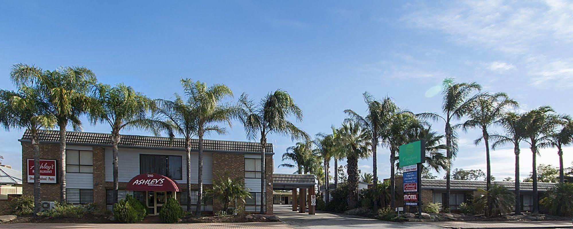 Citrus Valley Motel Renmark Εξωτερικό φωτογραφία